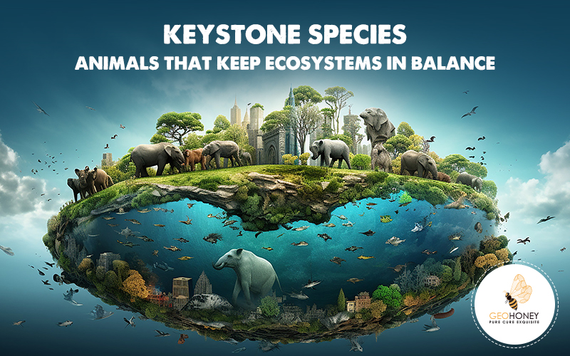 Keystone Species: Animals That Keep Ecosystems in Balance